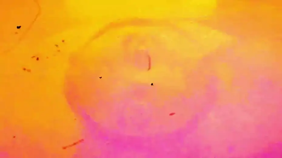 Відео до фільму El&eacute;trico Magn&eacute;tico | El&eacute;trico Magn&eacute;tico (Brasil, 2025, Petter Baiestorf) [Exclusivo]