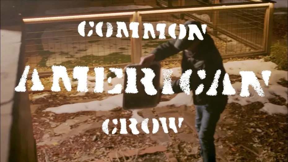 Відео до фільму Common American Crow | Common American Crow [Film Fest Cut]
