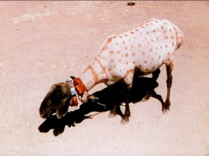 Відео до фільму A Road in India | A Road in India (1938) - Jack Cardiff | BFI