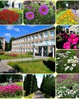 Кролевец Кролевец