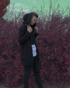 Иван Богомолов