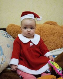 Софія Дзекан