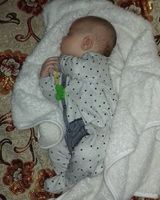 Максим Штойко