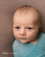 Дамир Юрченко