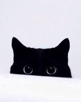 Полина Сенина