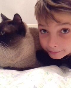 Быценко Никита