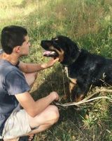 Андрей Котов
