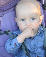 Кулик Максимович