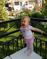 Дана Сулима