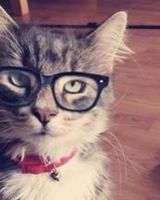 Маша Панова