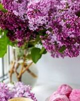 Наталья Афонина