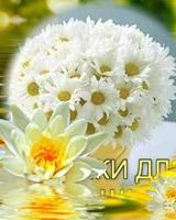 Натали Поддубная