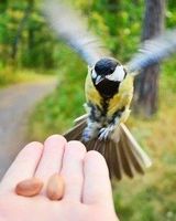 Наталія Обиходенко