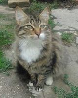 Фатали Набиев