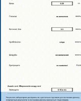 Наталья Халимоненко