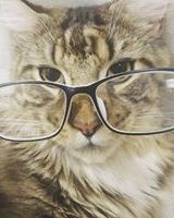 Элизавета Пачос