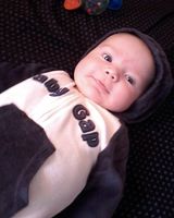 Ельвира Стальницкая