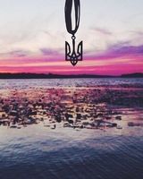 Влад Сучевич