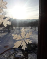 Тамара Бобана