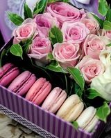 Анастасия Пилипенко