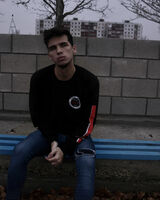 Дмитрий Ботез