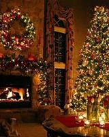 Ирина Чеботарёва