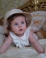 Diana Lady