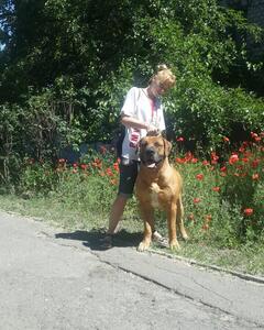 Антонина Боярская