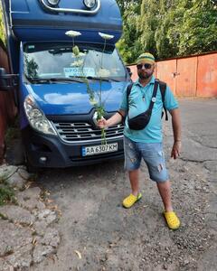 Александр Забродский