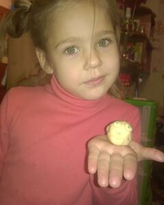 Марина Заболотняя