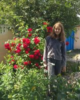 Ира Зайцева