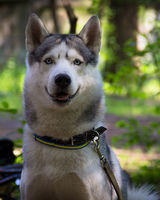 Ірина Івахіна