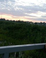 Тетяна Паньковецька