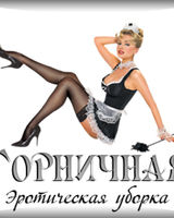 Vip Housemaid