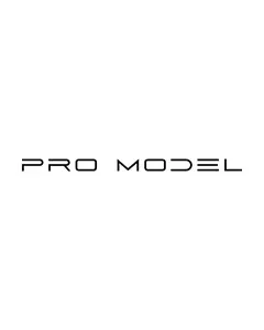 PROMODEL AGENCY
