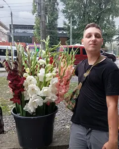 Роман Бондар