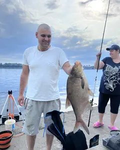 Артур Горбенко