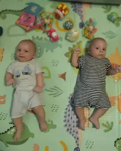 Богдан, Олександр Кучинський