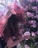 Александра Колесниченко