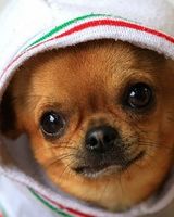 Дмитрий Середа