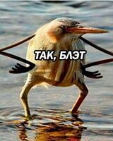 Алексей Клинский
