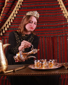 Елена Вашуленко