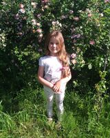 Ира Ластовка