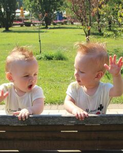 Комаровский Давид