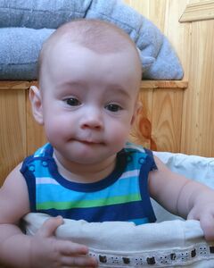 Владислав Жеребко