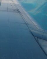 Рената Тарасова