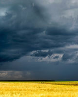 Наталия Нестиренко