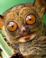 Надежда Фокина