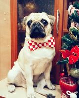 Ольга Азарова