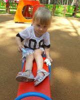 Златослава Сухолитка